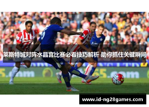 莱斯特城对阵水晶宫比赛必看技巧解析 助你抓住关键瞬间