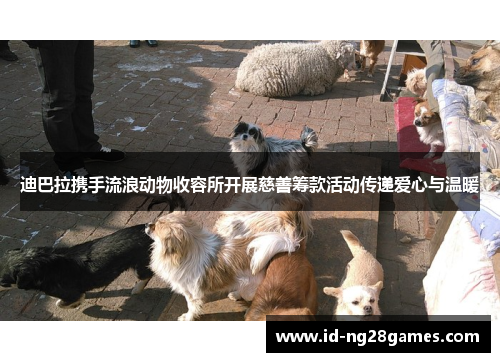 迪巴拉携手流浪动物收容所开展慈善筹款活动传递爱心与温暖