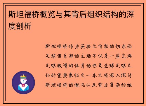 斯坦福桥概览与其背后组织结构的深度剖析